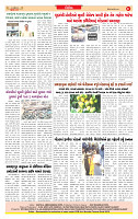 Dainik MT Guj 28-4-2025_page-0008