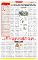 Dainik MT gujratt paper 01-02-2026_page-0002