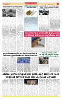 Dainik MT gujratt paper 22-06-2026_page-0004