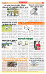 Dainik MT Guj 25-08-2025_page-0004