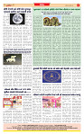 Dainik MT Guj 05-11-2025_page-0008