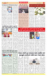 Surat Dainik MT GUJ Issue no. 136 22-02-2026 (1)_page-0004