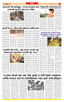 Surat Dainik MT GUJ Issue no. 11-05-2026_page-0005